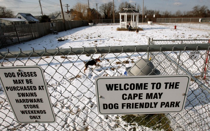 Dog Park